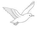 Mouette_Emouvances